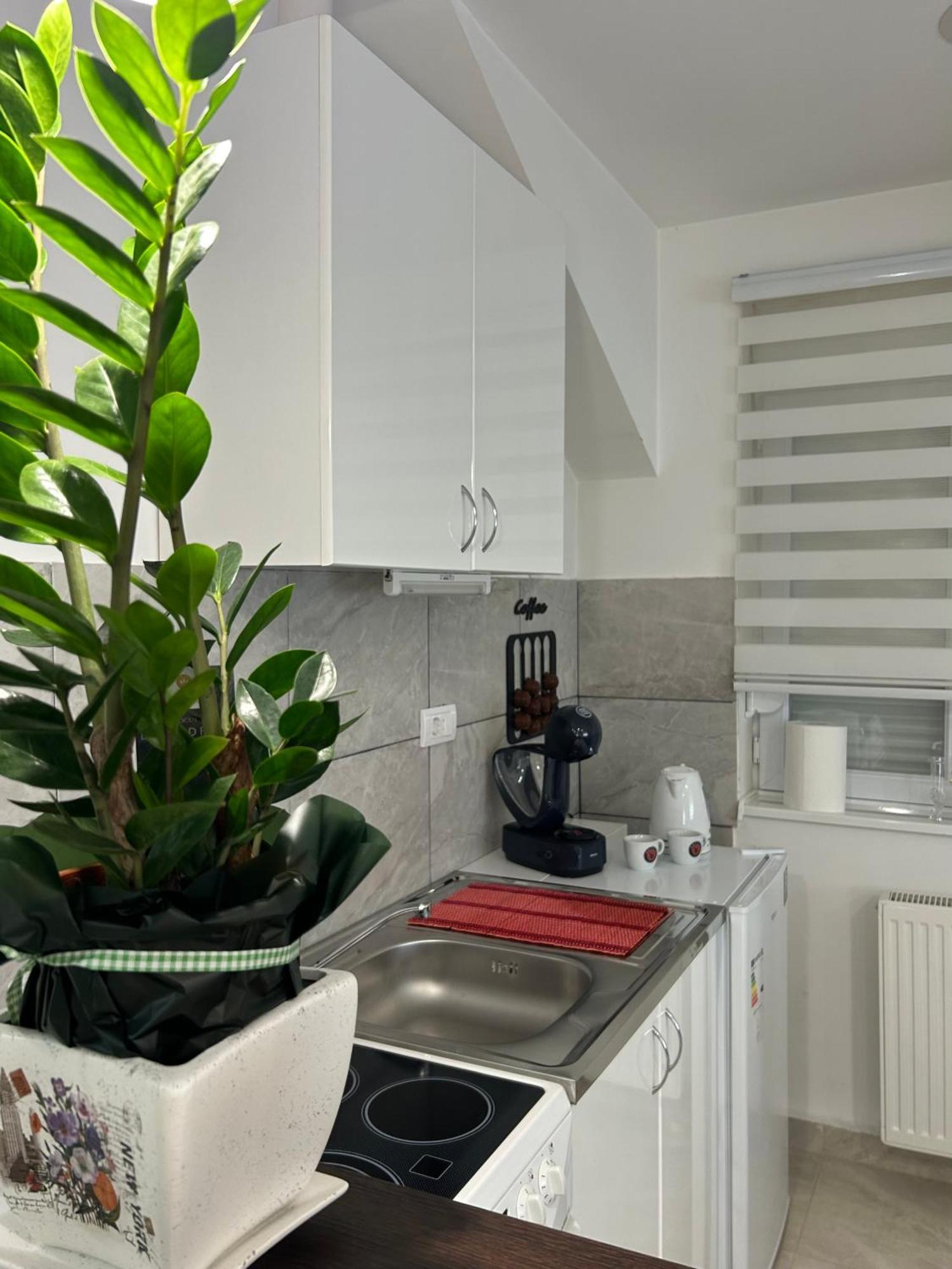 Apartman Diamond Lux Surčin Екстериор снимка
